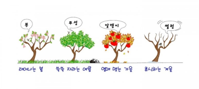 (주)자연법칙 이미지