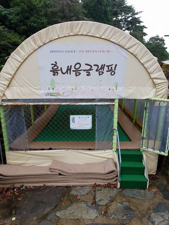 흙내음 글램핑 이미지