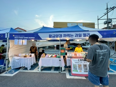 노랑머리쫀드기 이미지