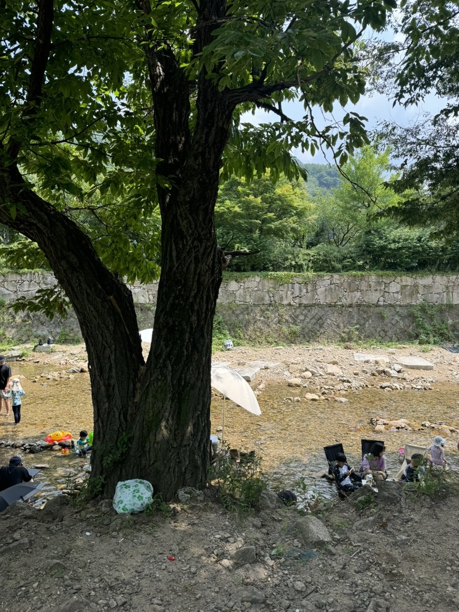 진관성 이미지