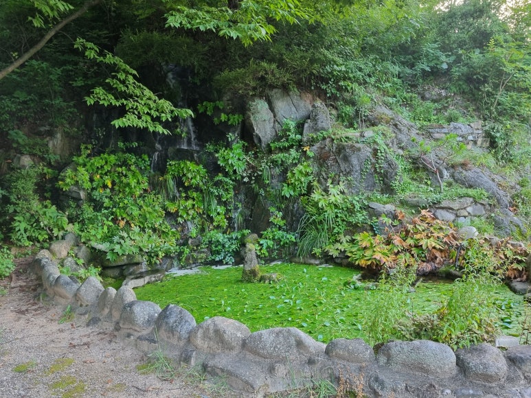 달빛향펜션 이미지