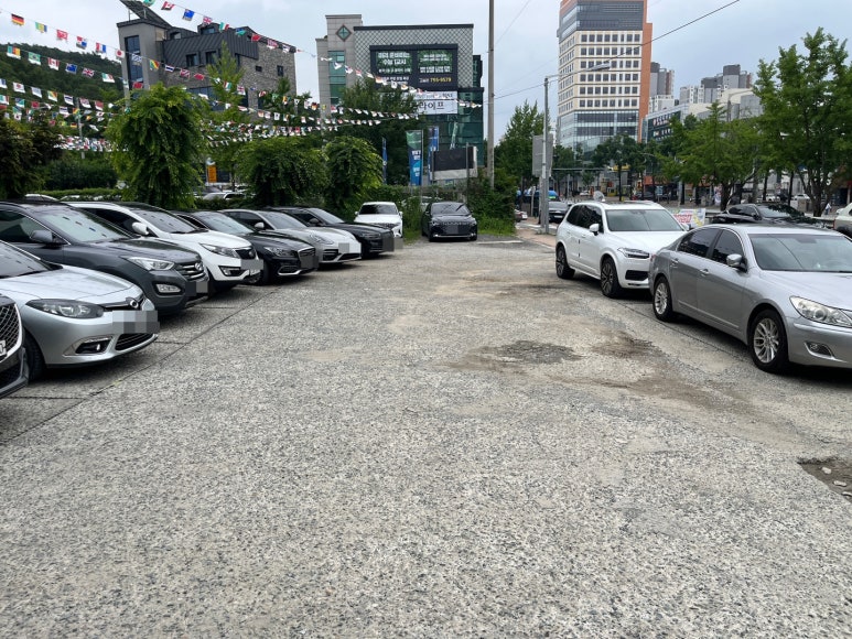 야성식당 이미지