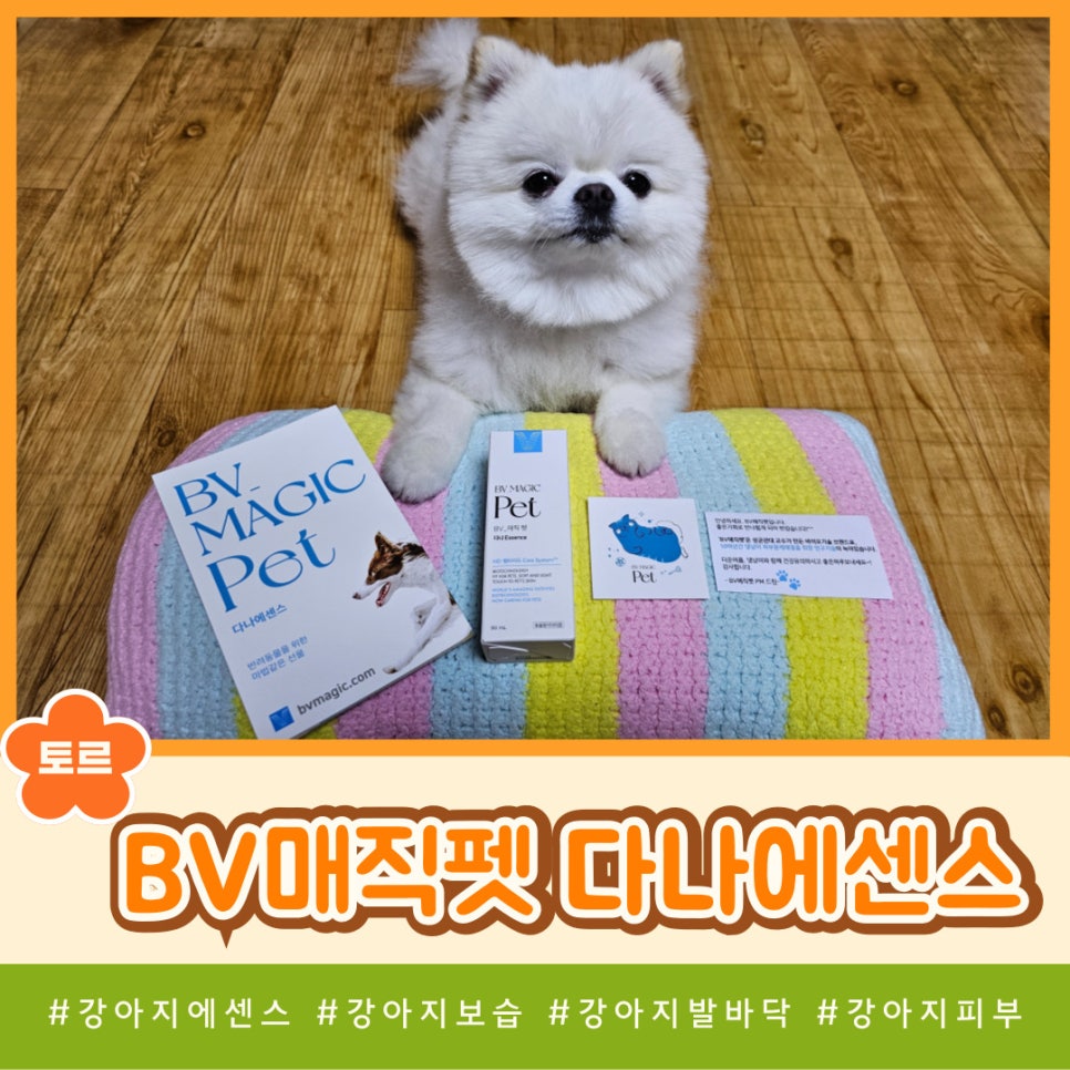 다나펫 이미지