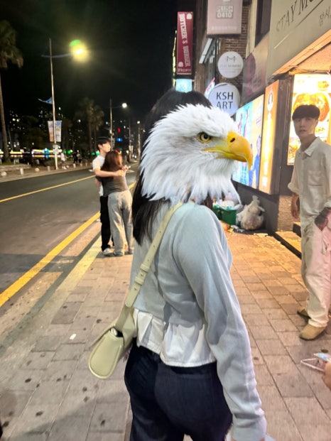 신데렐라노래타운 이미지