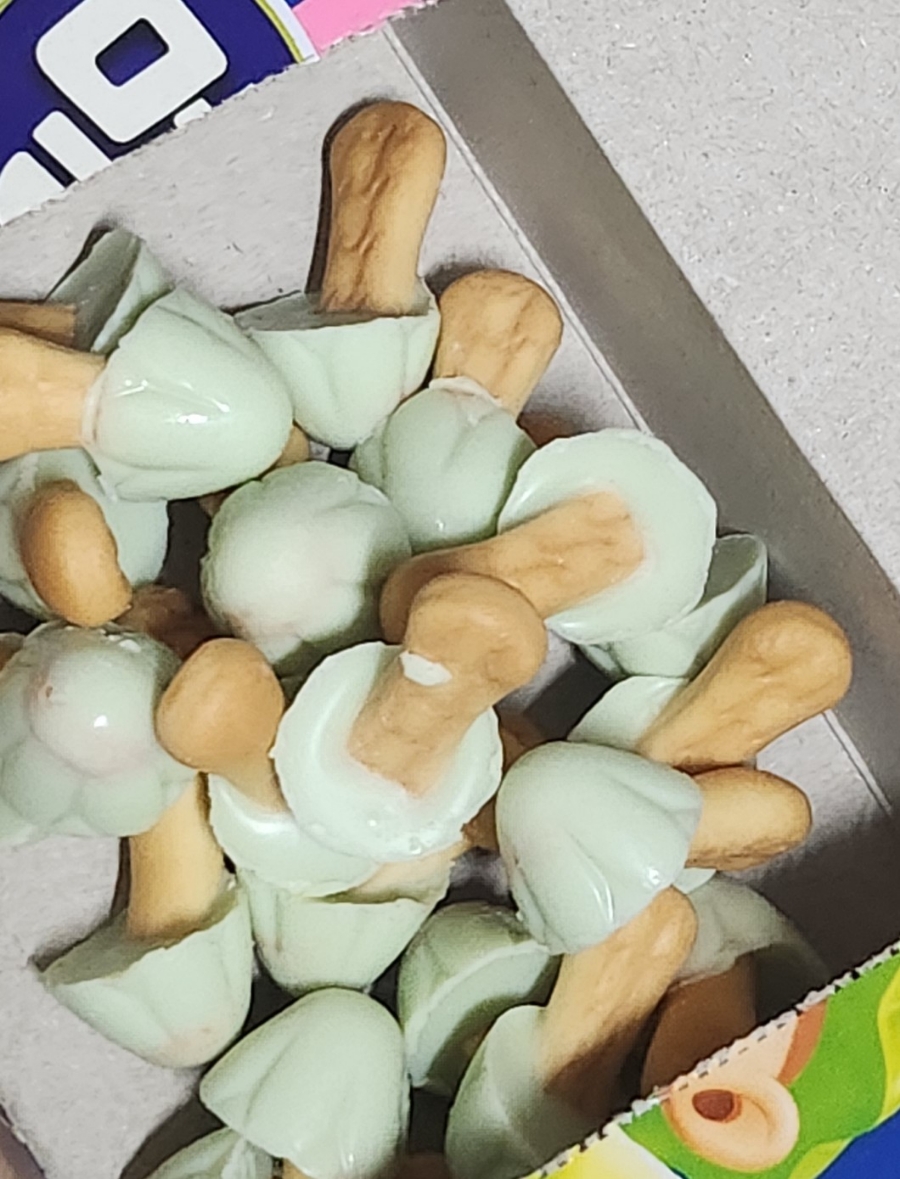 송이노래방 이미지