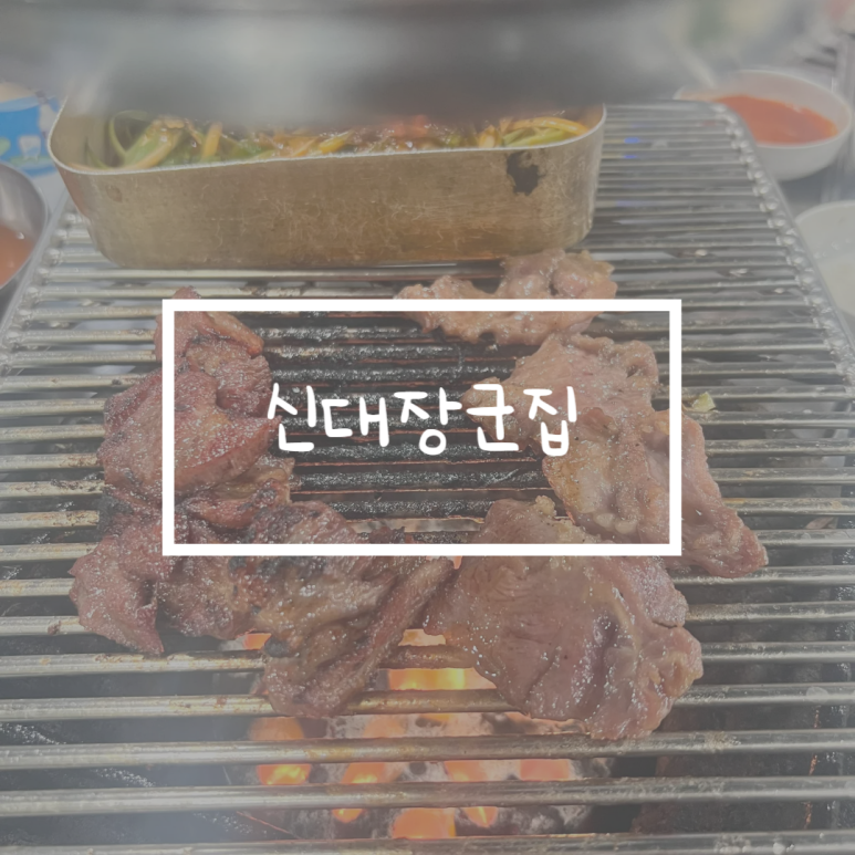 신대장군집 이미지