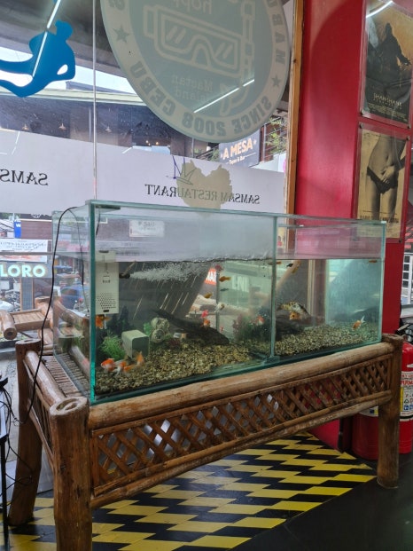 삼삼반점 이미지