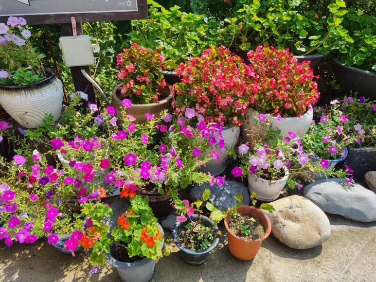 달빛향펜션 이미지