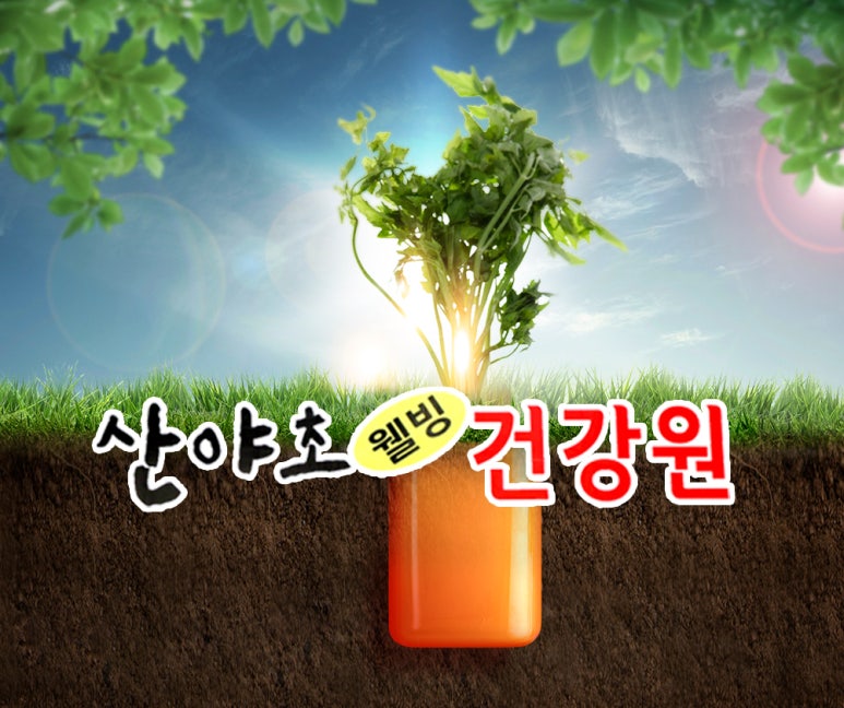 산야초건강원 이미지