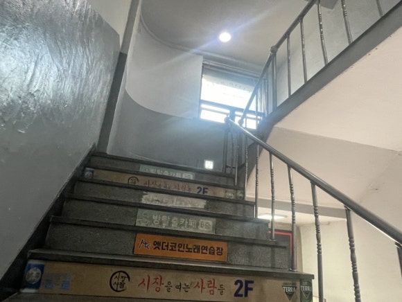 도고(doggo) 이미지