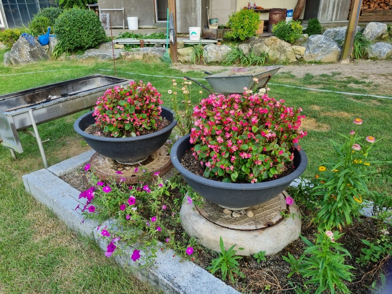 달빛향펜션 이미지