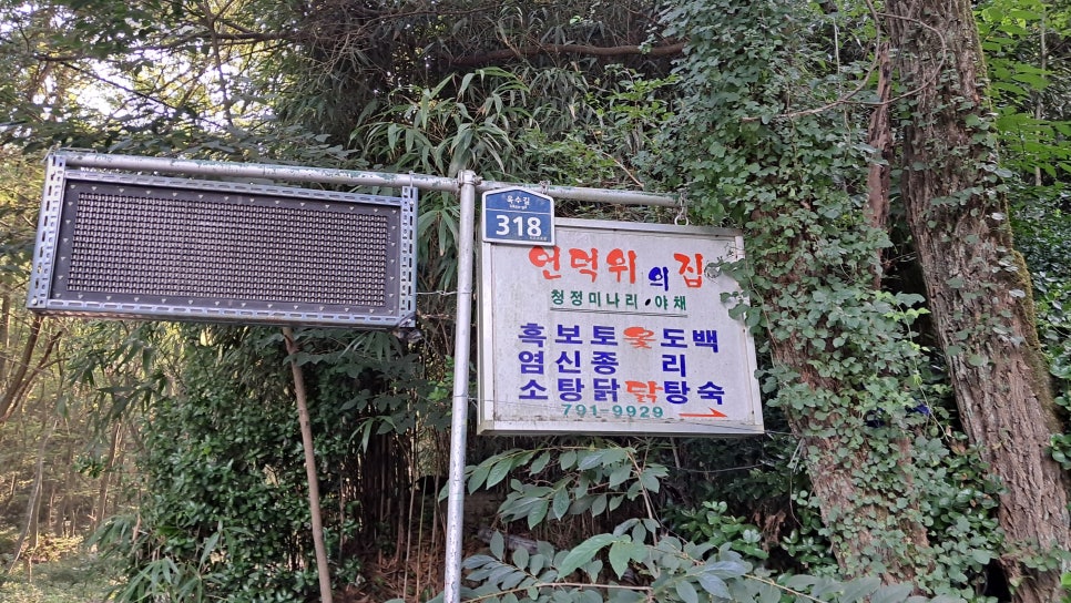 언덕위의간판집 이미지
