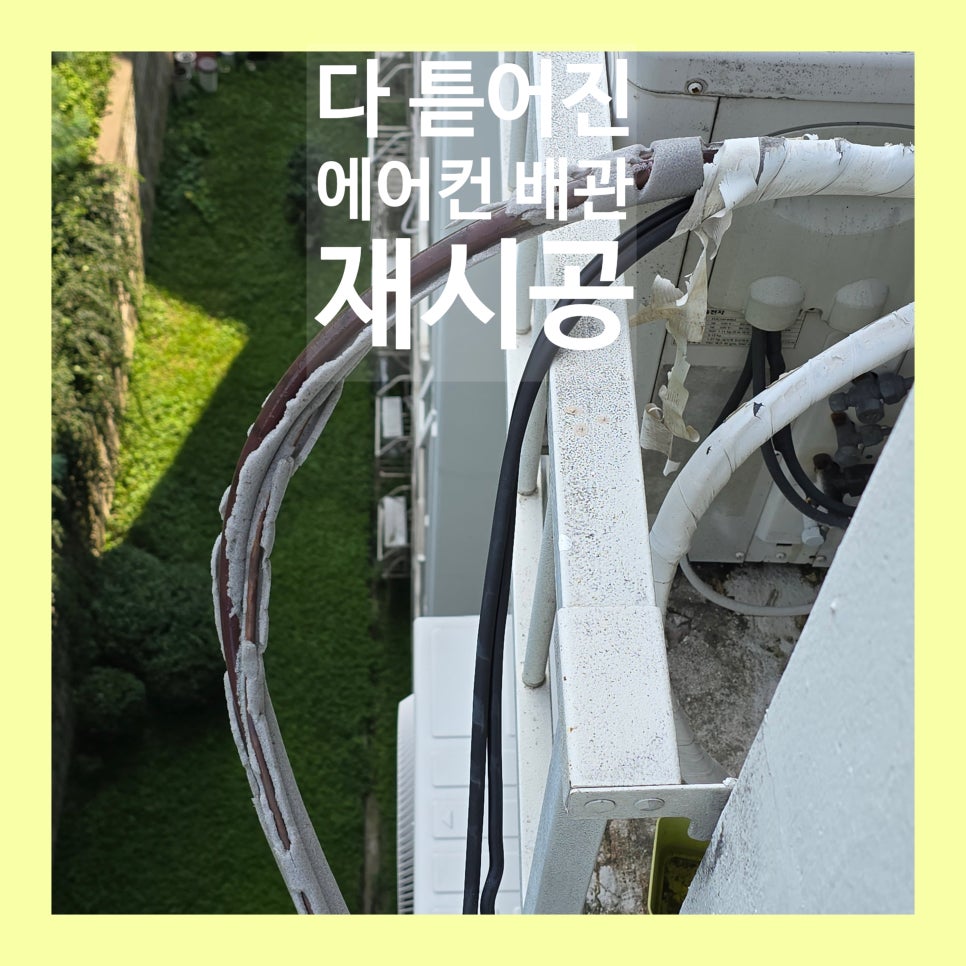 데이비드리페어 이미지