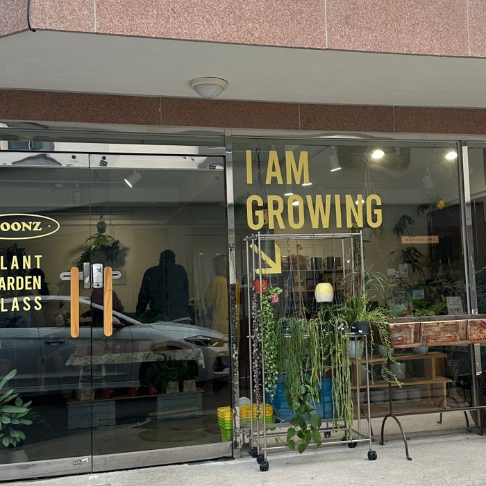 분즈 이미지