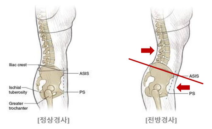 쓰리핏PT분당수내 이미지