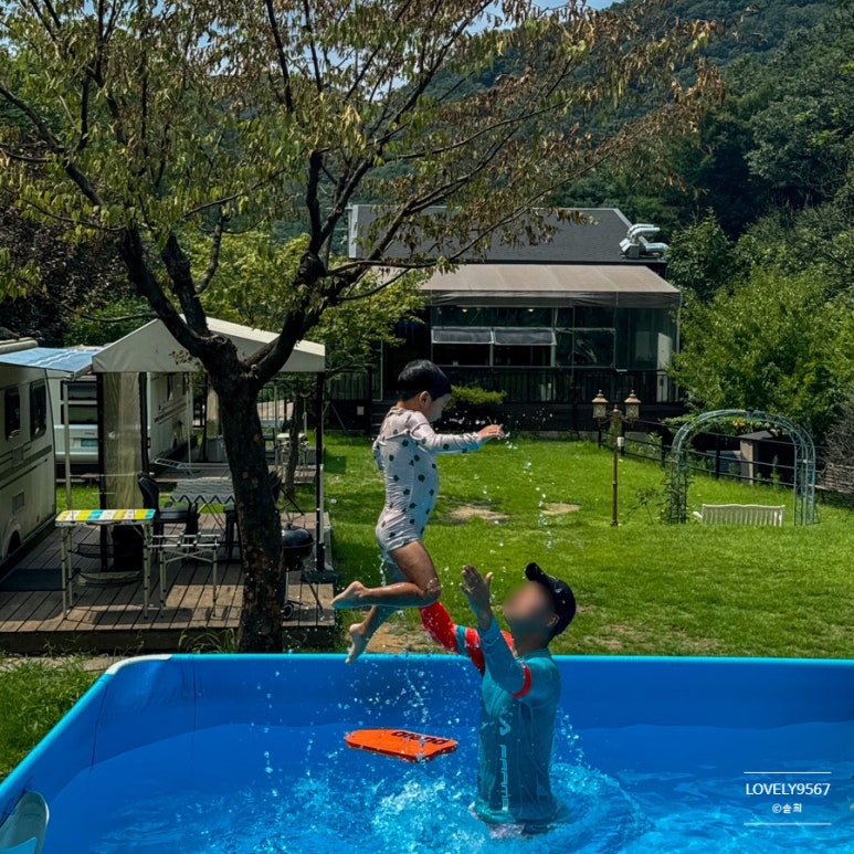 초리포레스트 이미지