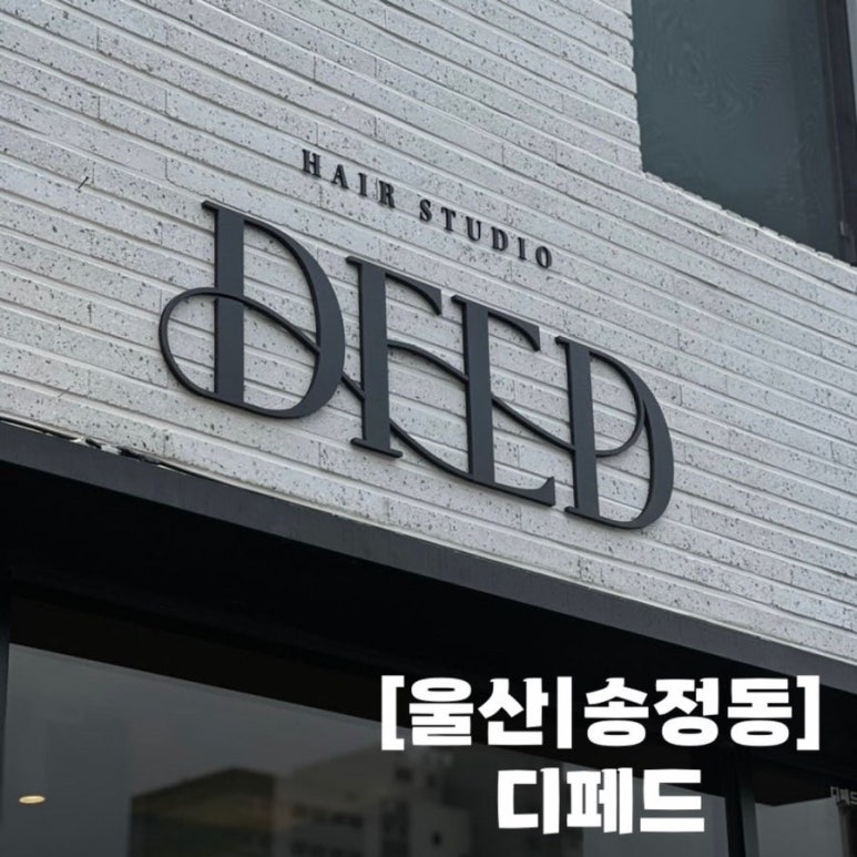 디페드 이미지
