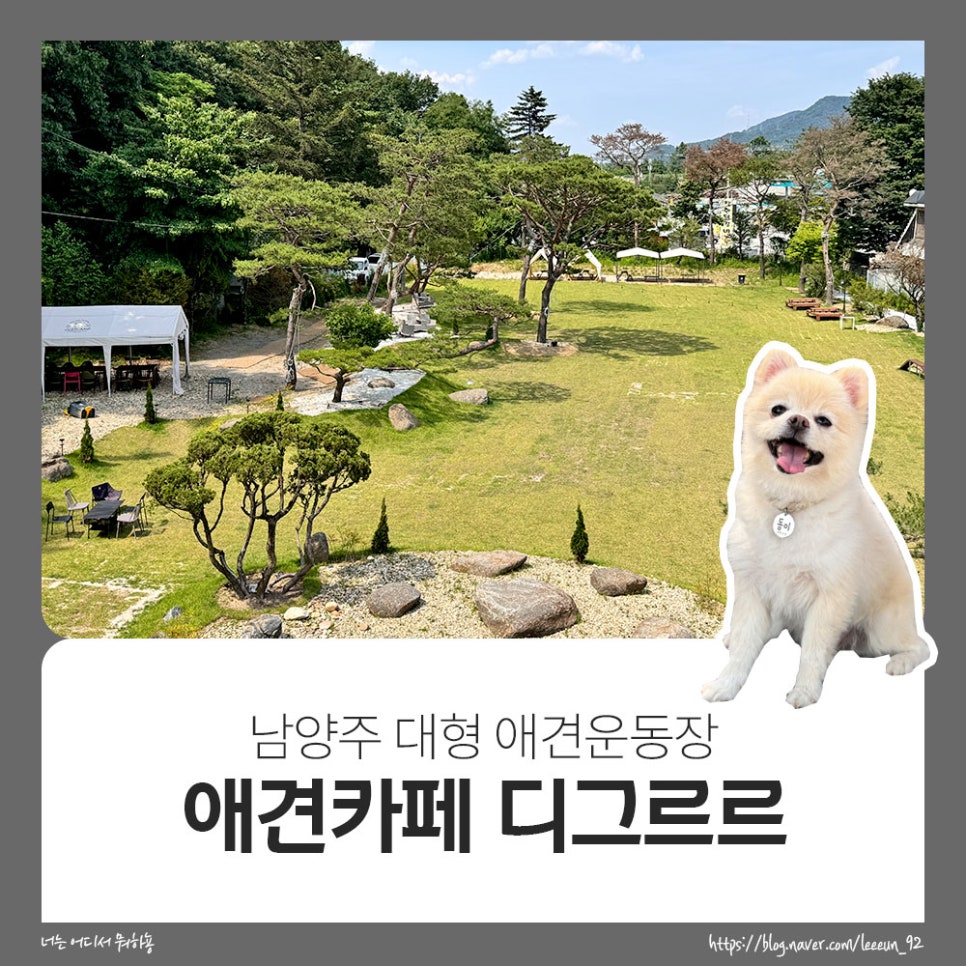 디그르르 이미지