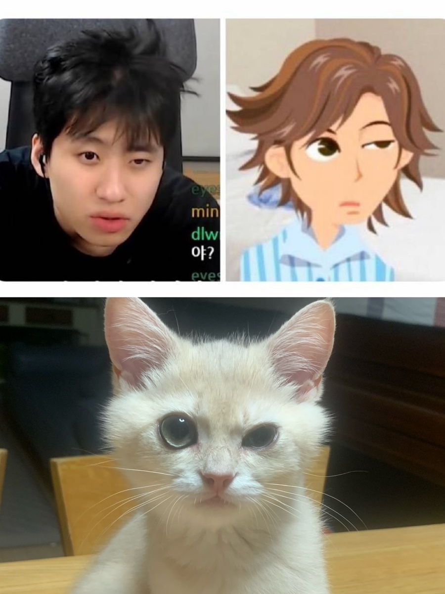 관악대로275번길 이미지