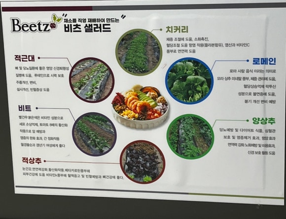 고래한입피자&비츠샐러드 이미지
