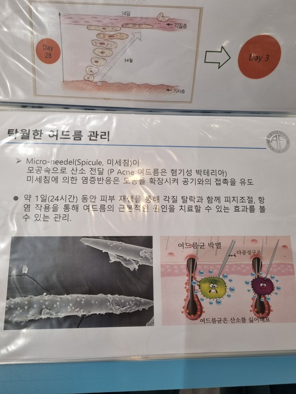 연하늘 이미지
