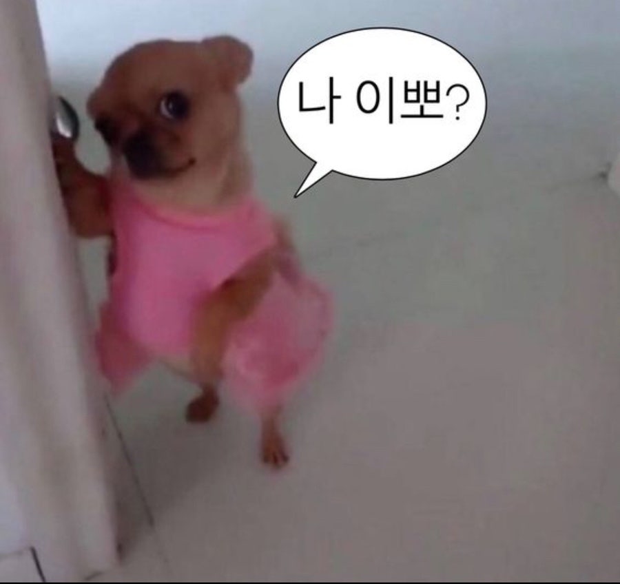 더나은네일 이미지