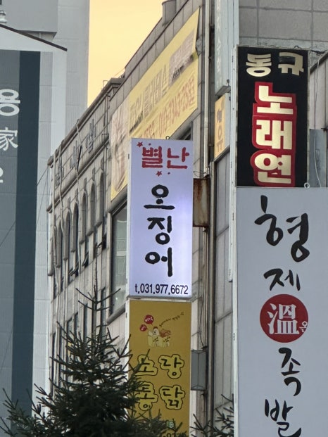 별난오징어 이미지