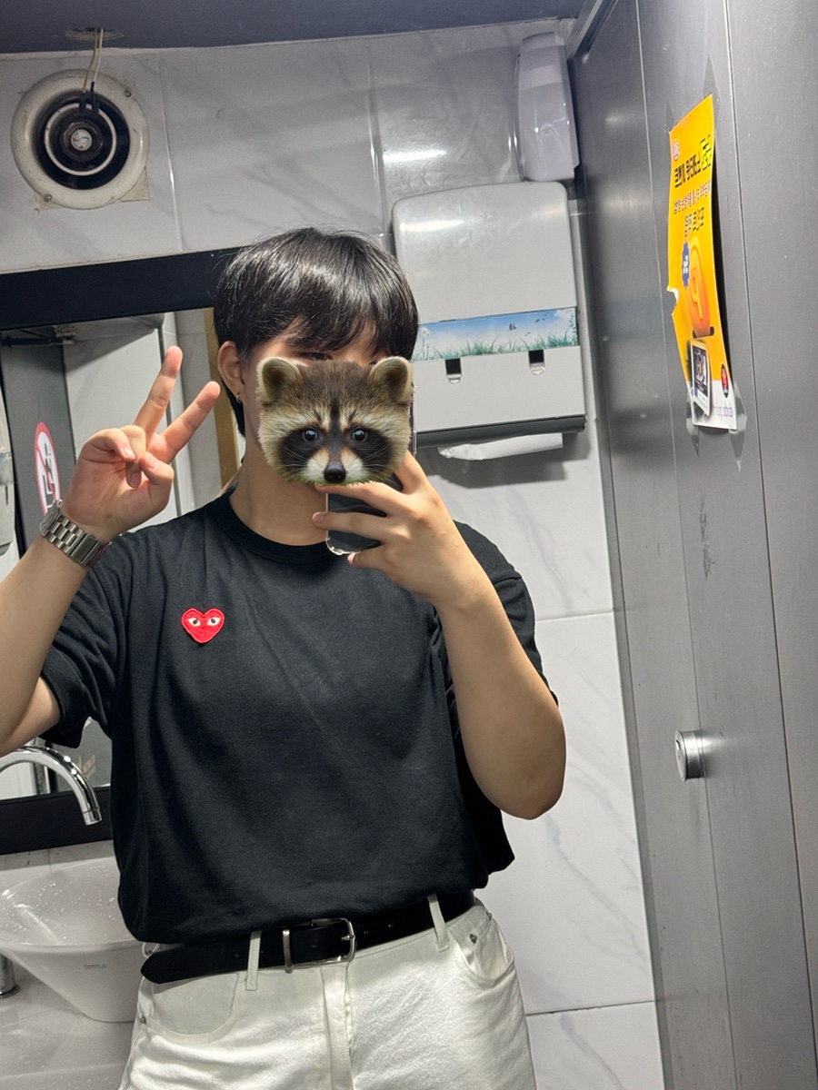 신데렐라노래타운 이미지