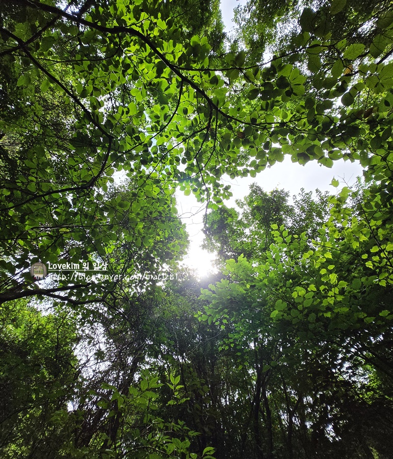 소백산국립공원 남천야영장 이미지