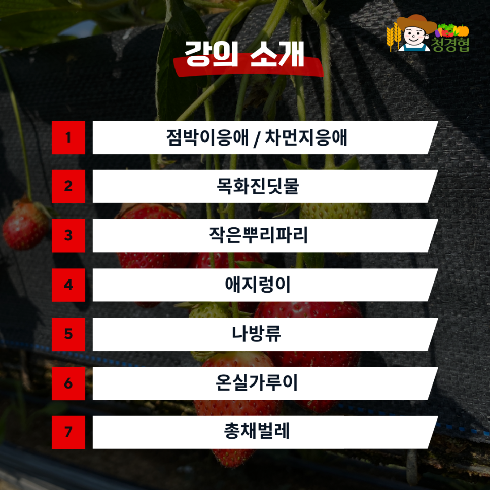 해충박사 이미지
