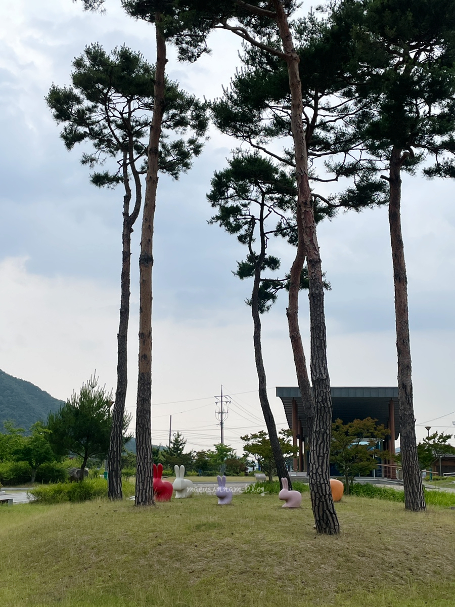정읍 VR체험관 이미지