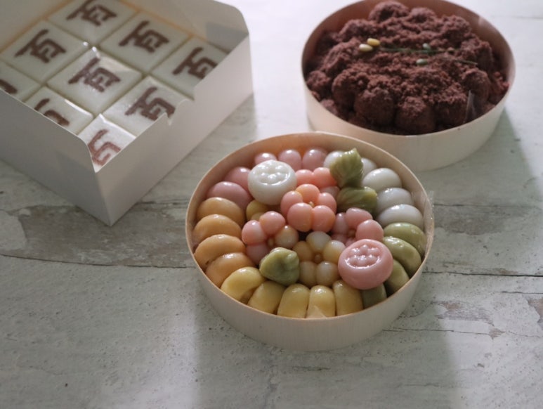 스튜디오콜렉티브 이미지
