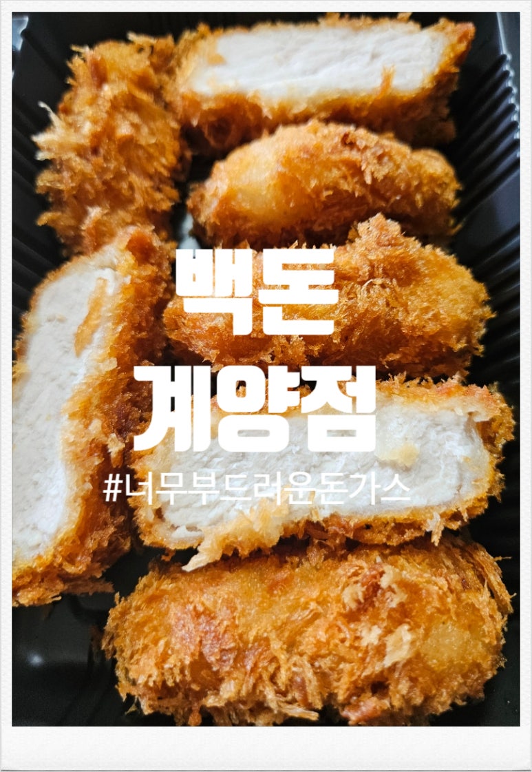백돈 이미지