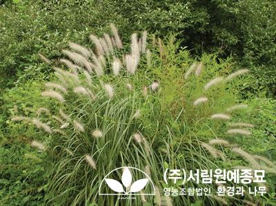 조경설계서림 이미지
