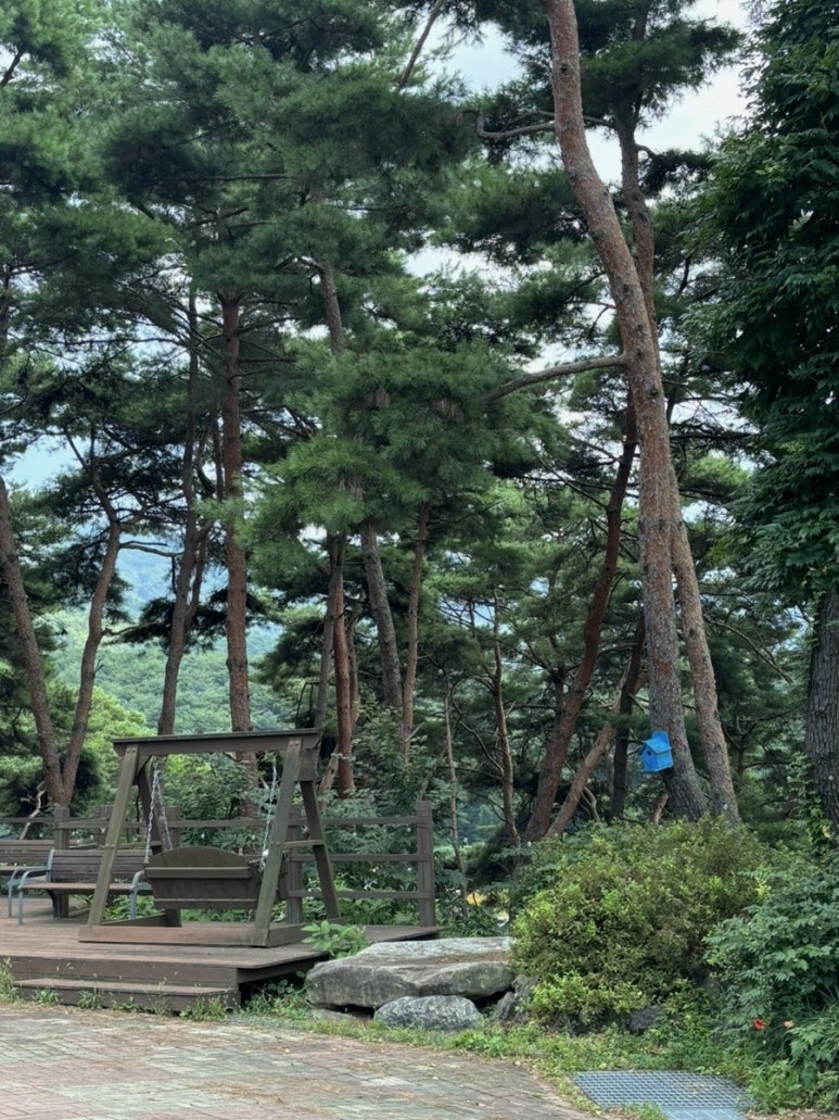 금베이숲 이미지