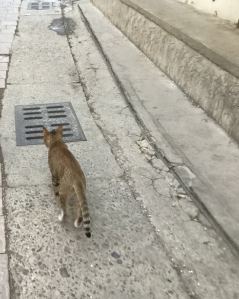 설영인테리어 이미지