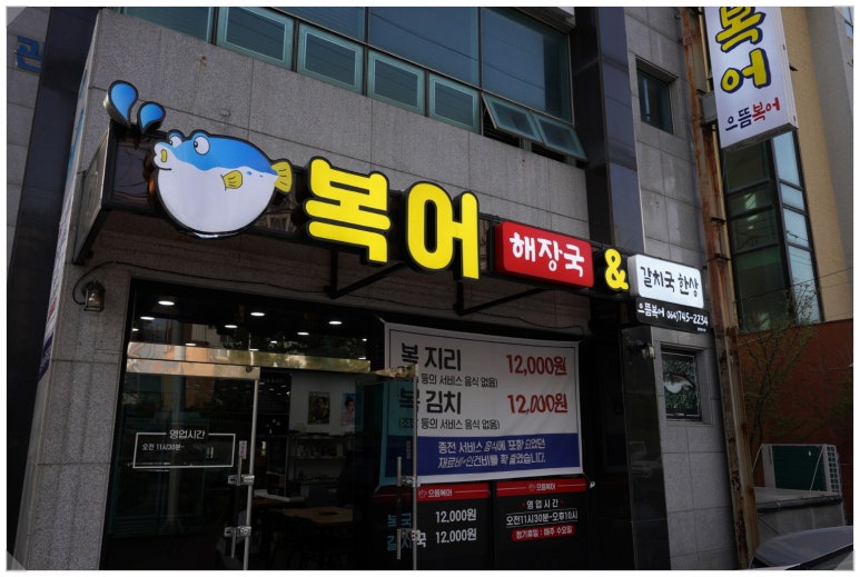 대해복어 이미지