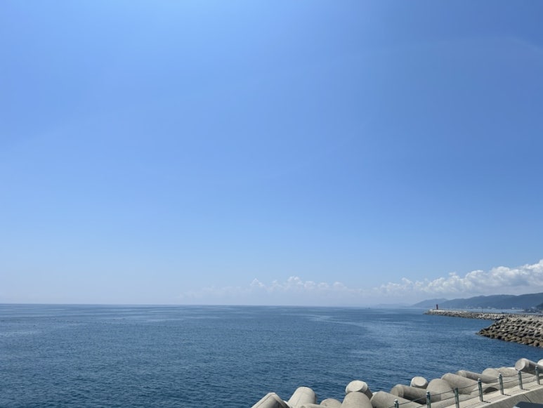 파랑필름 이미지