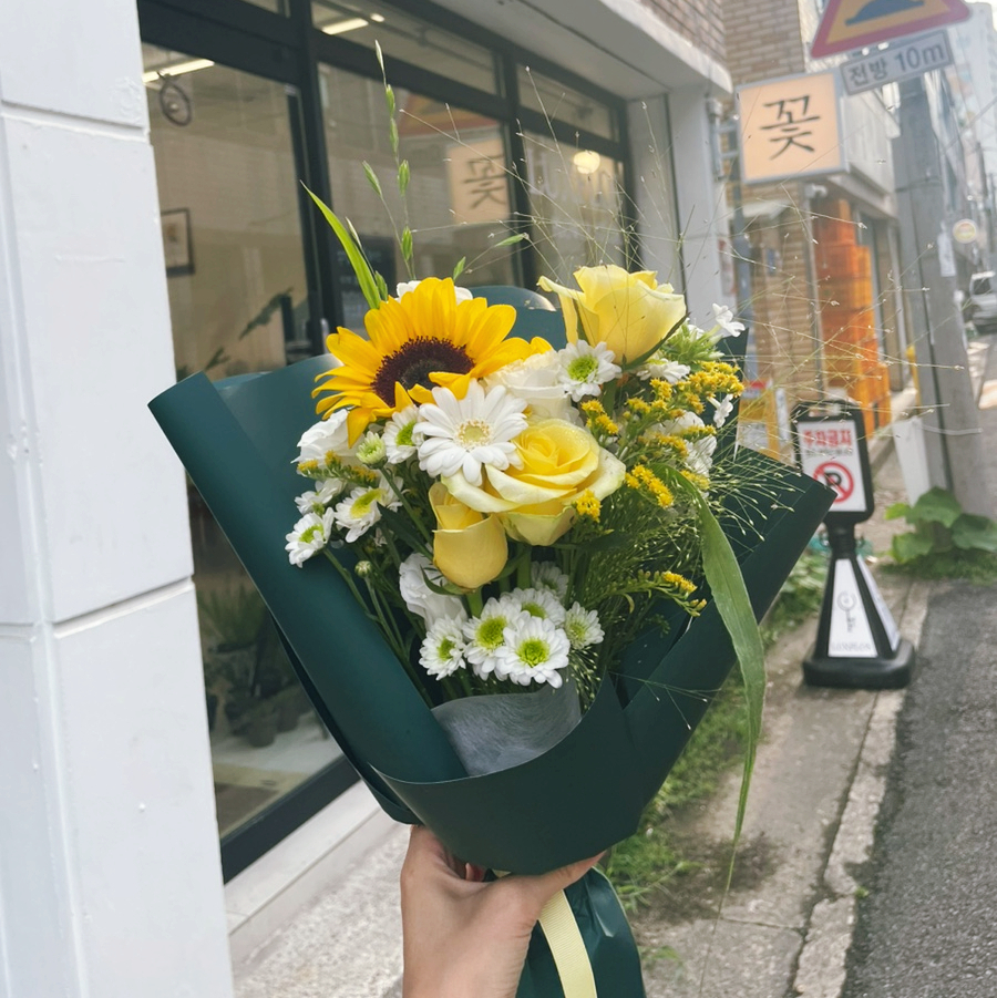 럭스플로스 이미지
