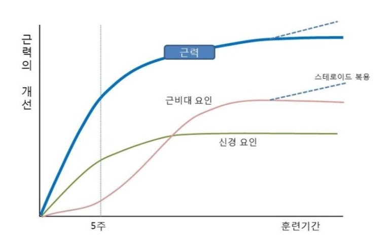 고려스포츠 이미지