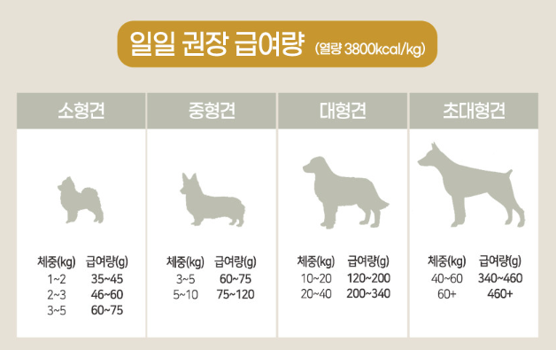 미트 앤 피쉬 이미지