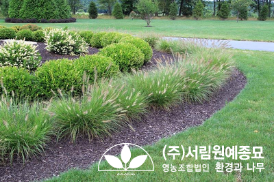 조경설계서림 이미지