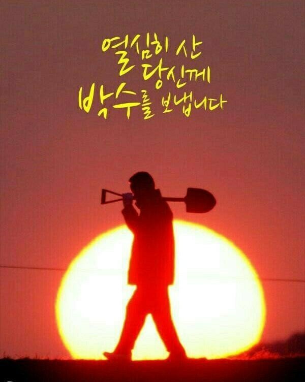 미래건설중기 이미지