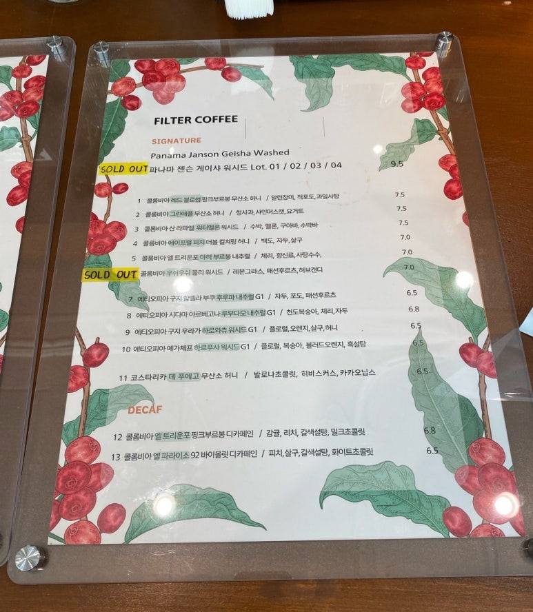 스텔라온 이미지