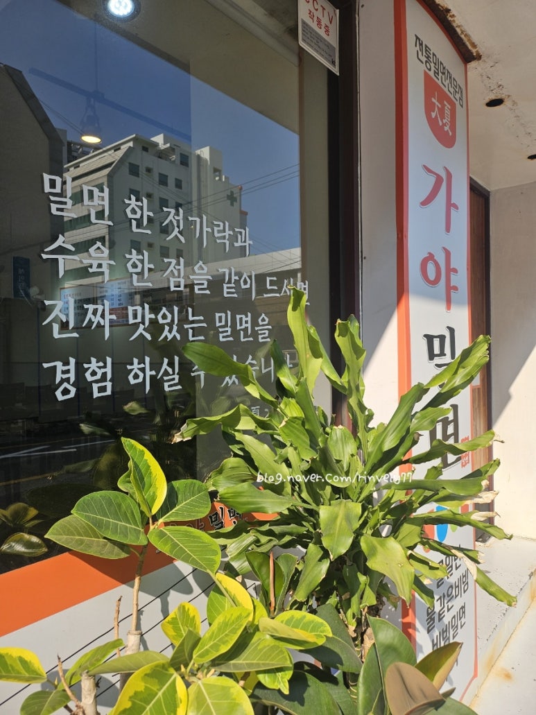 대하가야밀면 이미지