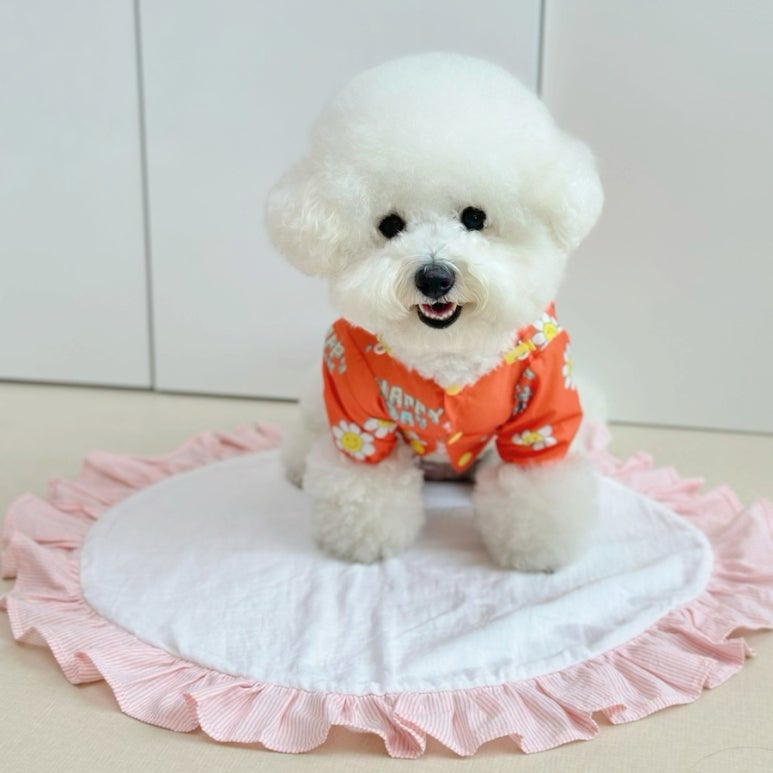 유앤댕 이미지