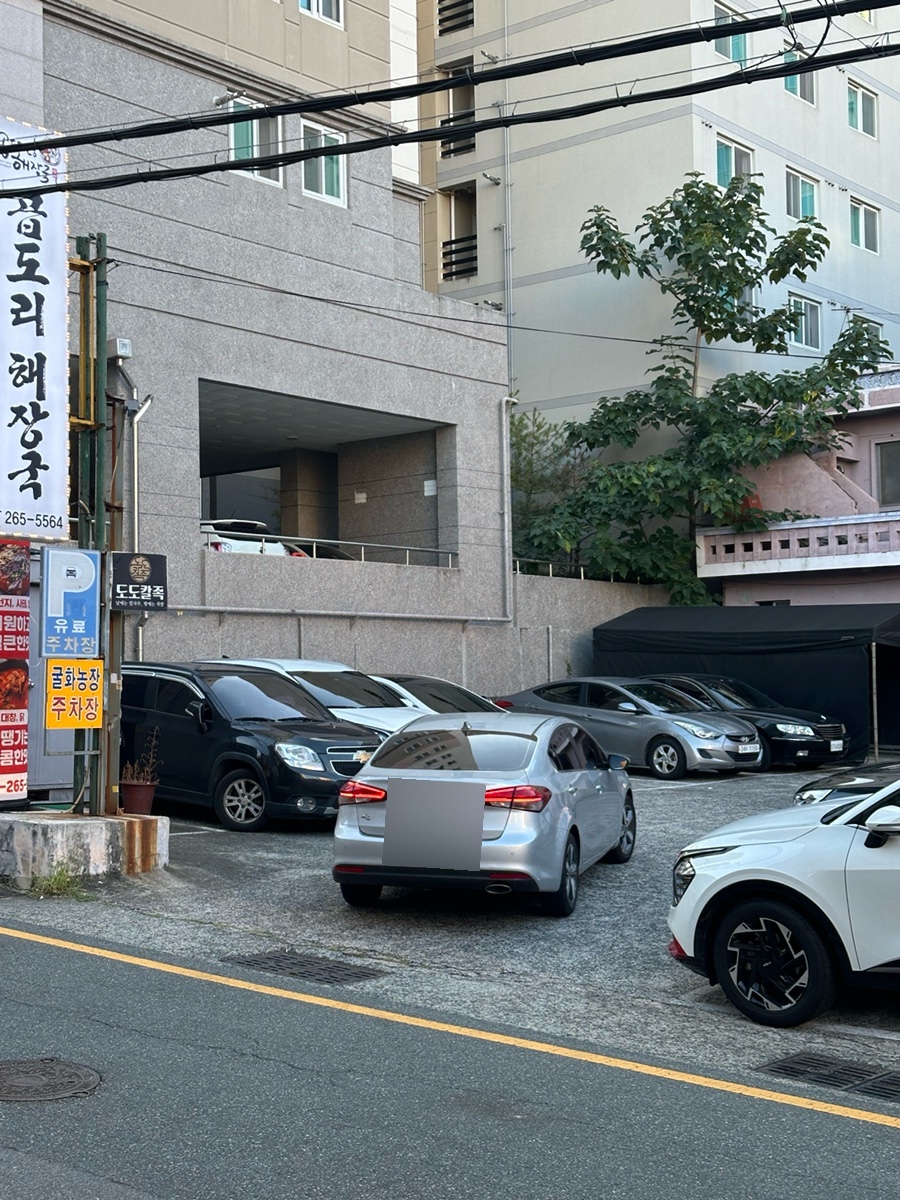 도도칼족 이미지