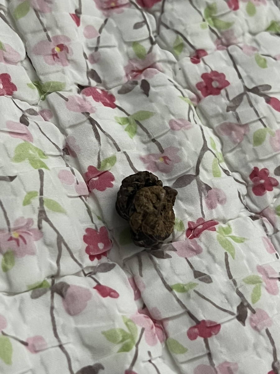 굿모닝토토 이미지
