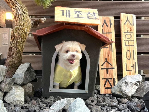 일일수작 파주산내마을점 이미지