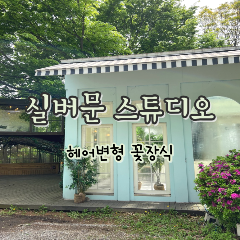 실버문헤어 이미지